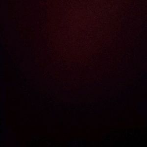 Meet your Posher, Dakota